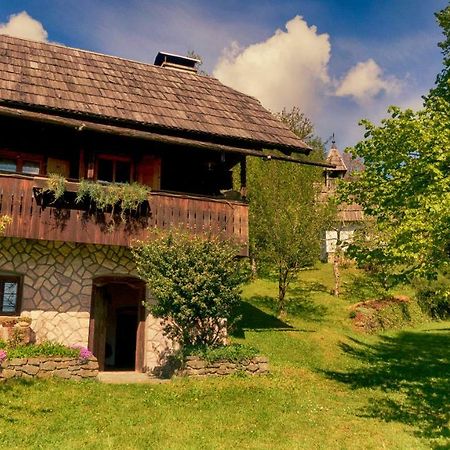 Domacija Koklej - Apartments Vintage Vacation Luče Εξωτερικό φωτογραφία