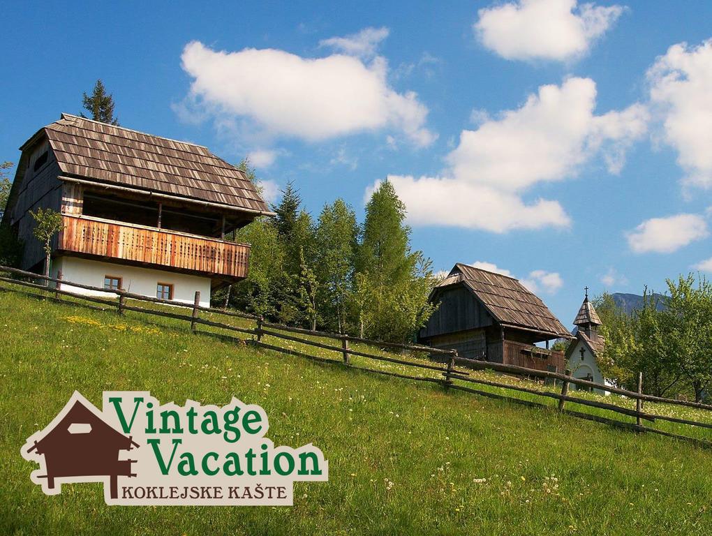 Domacija Koklej - Apartments Vintage Vacation Luče Εξωτερικό φωτογραφία