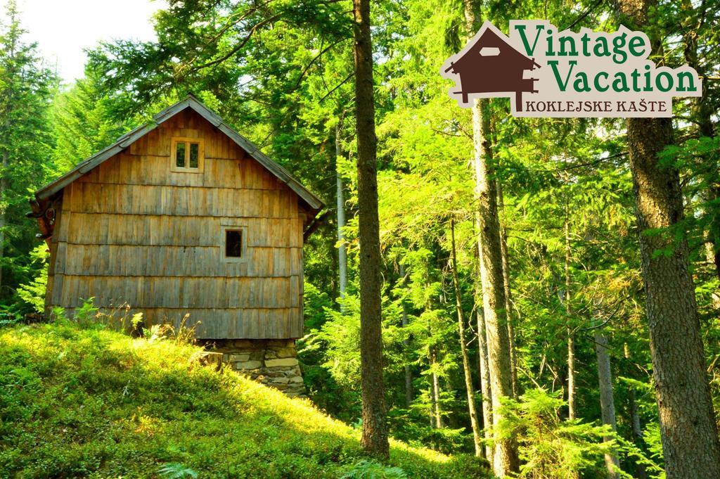 Domacija Koklej - Apartments Vintage Vacation Luče Εξωτερικό φωτογραφία
