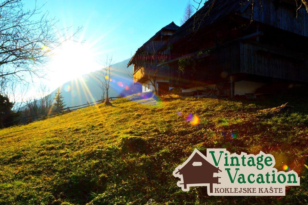 Domacija Koklej - Apartments Vintage Vacation Luče Εξωτερικό φωτογραφία