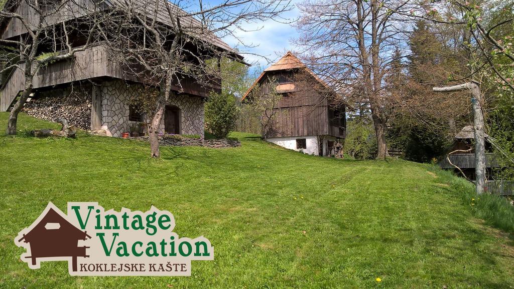 Domacija Koklej - Apartments Vintage Vacation Luče Εξωτερικό φωτογραφία