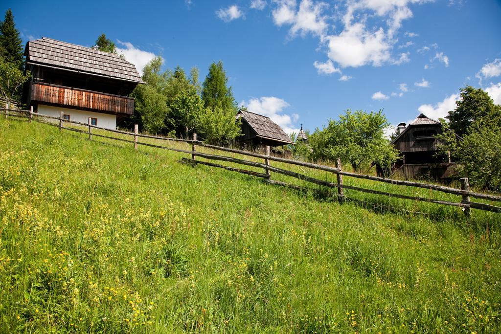 Domacija Koklej - Apartments Vintage Vacation Luče Εξωτερικό φωτογραφία