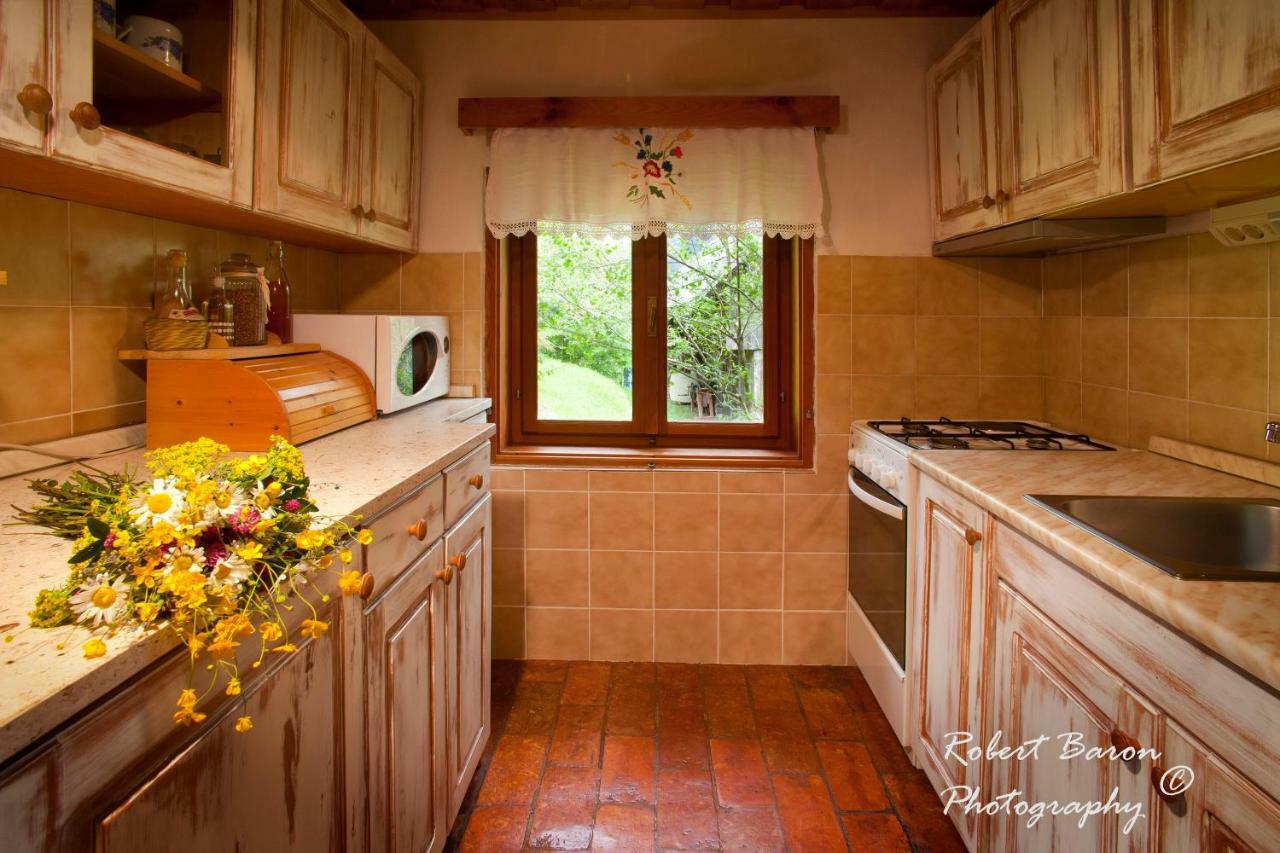 Domacija Koklej - Apartments Vintage Vacation Luče Εξωτερικό φωτογραφία